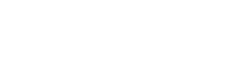 VATSIM Login